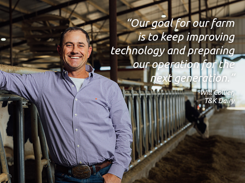 Forward thinking dairy producers are switching to Lely for competitive